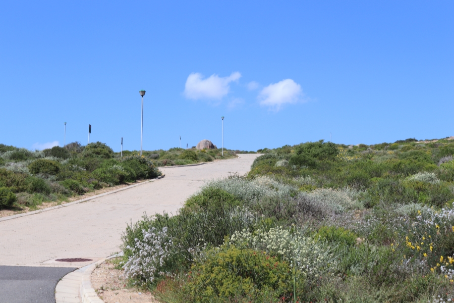 0 Bedroom Property for Sale in Steenbergs Cove Western Cape